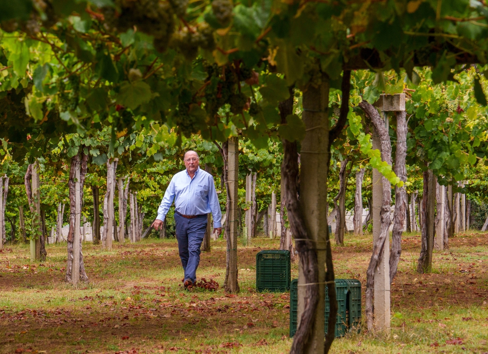 El bodeguero y empresario ampla su proyecto a la elaboracin de vinos blancos albarios con un nuevo proyecto denominado Via Caeira...