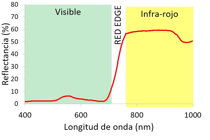 Figura 1. Ejemplo de espectro de reflectancia