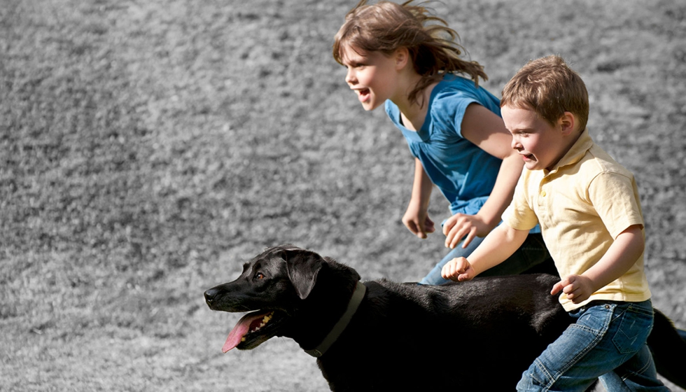 Purina promueve programas para que los nios aprendan a cuidar de manera responsable a los animales en casa...