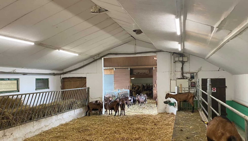 Las soluciones de Ledvance convierten esta instalacin agrcola en un entorno ideal para los animales de la granja...