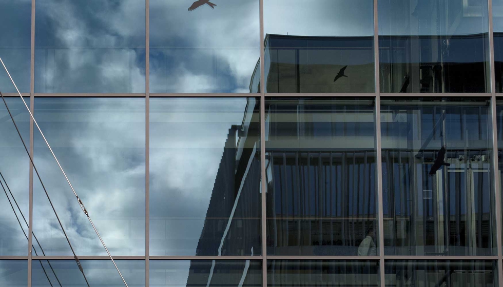 Vidrios de Cerviglas con patrones para evitar la colisin de aves contra edificios