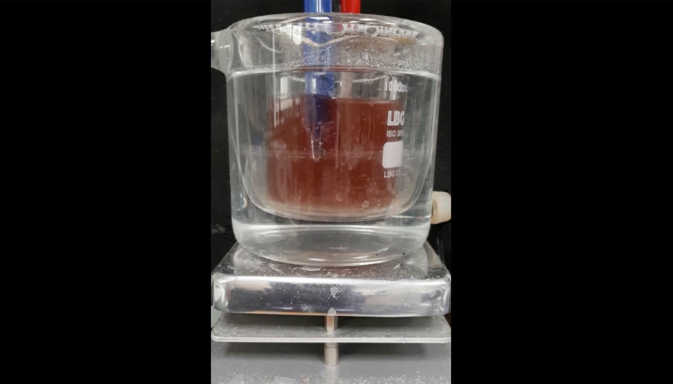 Lixiviacin de la lmina catdica con un proceso en celda nica