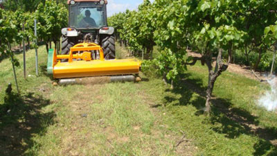 La trituradora Evolution Green facilita el treball dels productors de fruiters o vinyes