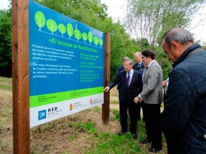 WEBbosque_la_carballedaa_0