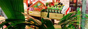 handmade-festival