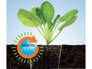 Web_es_gramomicro_depot-flyer_19