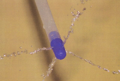 Detalle de la novedosa c�nula I.A. postcervical, de Inserbo, y de sus cuatro salidas que aseguran una inseminaci�n efectiva...