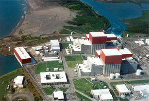Iberdrola culmina en Mxico el proyecto de modernizacin de una central nuclear