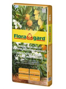 Substrato-para-ctricos-y-plantas-mediterrneas-Floragard,-ideal-para-balcones-y-terrazas0ok