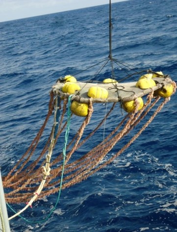 Recogida de FAD en Seychelles