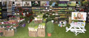 Aliatgrup-monta-un-garden-center-en-Iberfloraok