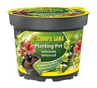 Planting-Pot