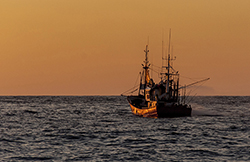 Fishing at sunset