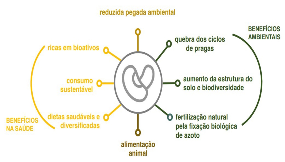 Figura 5. Esquema de la contribucin de las leguminosas en los diferentes servicios del ecosistema