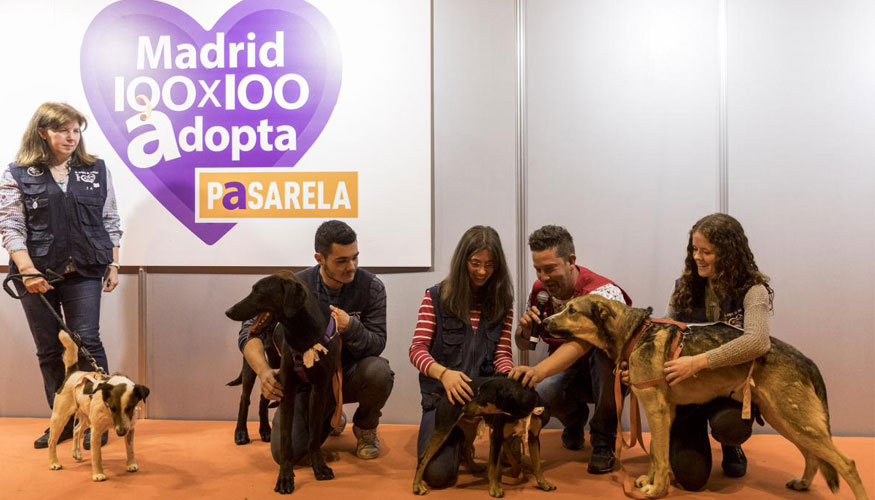 Ms de 1.000 metros cuadrados estarn dedicados a las protectoras con el fin de acercar a los visitantes los peludos con necesidad de adopcin...