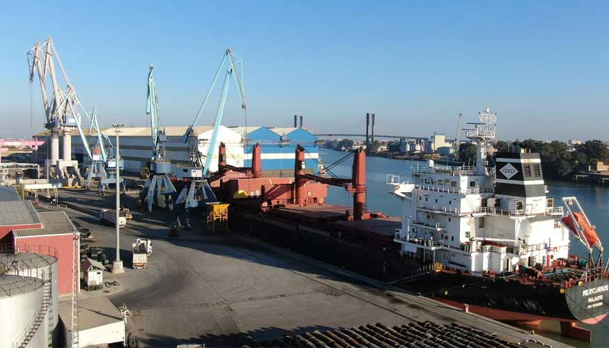 Mercurius operando en Terminal Portuaria Esclusa. Foto: Sevitrade