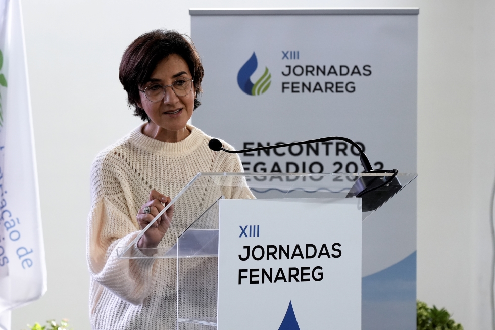 Ministra da Agricultura e da Alimentao, Maria do Cu Antunes