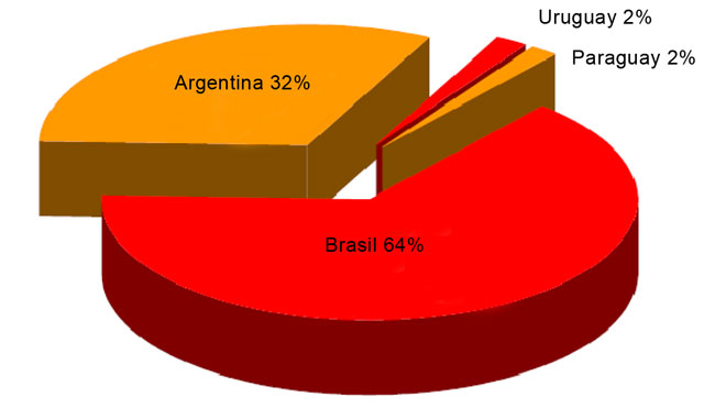 Importaciones de productos agrcolas por pases del Mercosur en 2005. Fuente: Comext