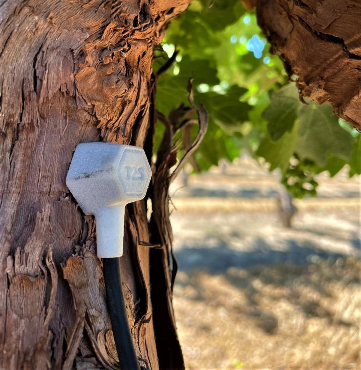 Sonda de la plataforma Treetoscope insertada en un cultivo leoso