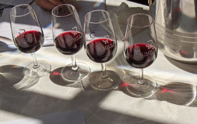 Cata de vinos candidatos a formar parte de la DO Jumilla