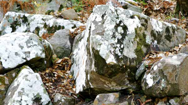 La roca, un elemento bsico en un jardn japons