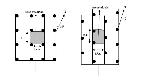 Figura1: Esquema del rea evaluada en los marcos 15 x 15 m cuadrado y 18 x 15 m triangular