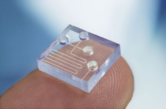 Microestructura para microfluidos. Foto: Greiner Bio-One