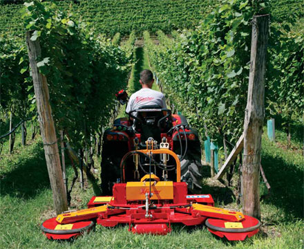 Mower GLM is designed to adapt to very narrow vineyards plantations