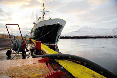 Recientemente se ha realizado una prueba de transporte de una carga de pescado desde Islandia a Francia para comprobar su funcionamiento...