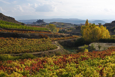 Viedos en Sonsierra, Ruta del Vino Rioja Alta