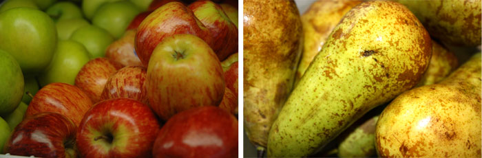 La manzana y la pera son dos alimentos muy saludables por sus cualidades especficas y para mantener una dieta adecuada. Fuente: Alfonso Lima...