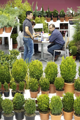 En Iberflora se dan cita ms de 300 expositores vinculados a la jardinera y el bricolaje