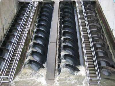 The reuse of wastewater is growing leaps and bounds. In the image, a bomb of worm in a German sewage treatment plant