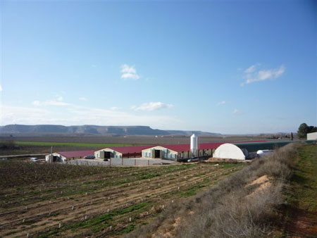 Vista general explotacin situada en Zaidn (Huesca)