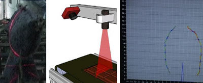 The Sanxu-2113-SX model of artificial vision that can see in Conxemar