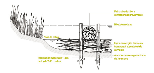 Figura 4. Empalizada viva filtrante