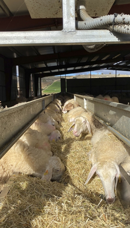 Detalle de las cintas de alimentaci�n. recortar la foto