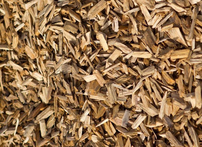 El uso de biomasa para la produccin de calor industrial contribuye a la prevencin de incendios forestales
