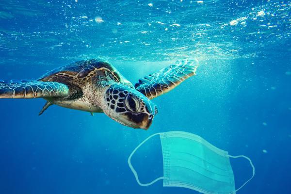 La iniciativa Clean Oceans (Ocanos Limpios) duplica su compromiso hasta alcanzar 4...