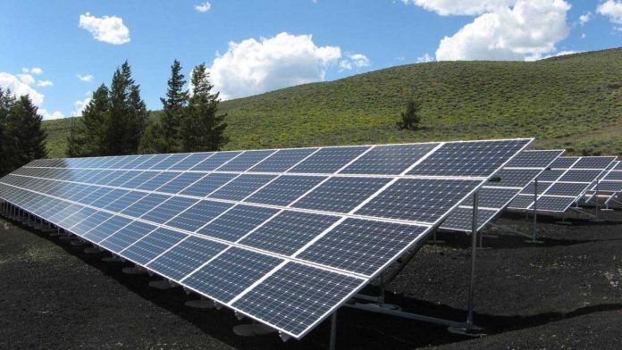 Vector Renewables, gestor de activos de un proyecto solar fotovoltaico de 169 MW en Espaa