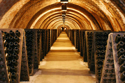 Ruta del vino y el cava Penedès. Caves Pere Ventura