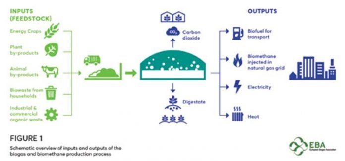 Biogs y biometano: gases verdes en pleno desarrollo