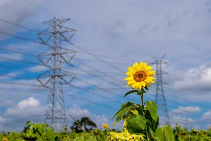 La demanda de energa elctrica de Espaa desciende un 0,5% en julio