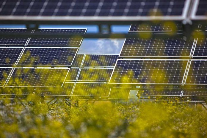 La planta fotovoltaica de Campos Salados suministrar energa a ms de 30.000 hogares