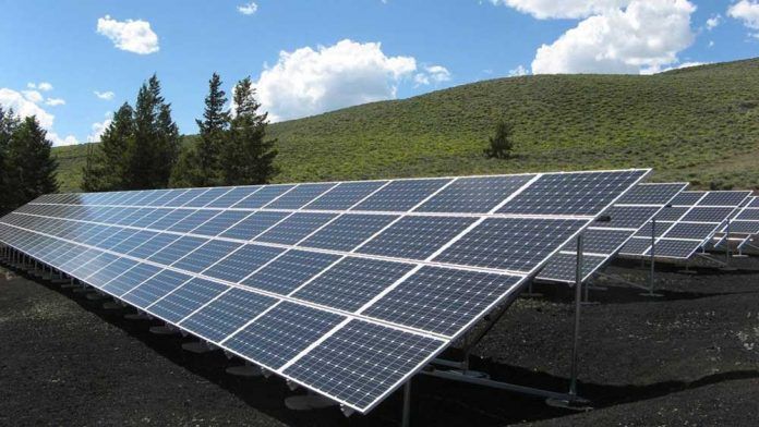 Vector Renewables realizar la ingeniera de la propiedad de ocho proyectos fotovoltaicos en Espaa de BNZ