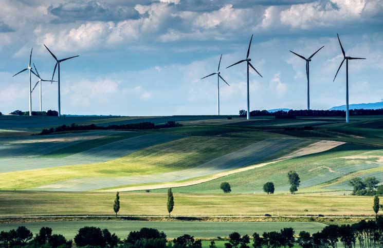 El MITECO lanza una nueva subasta de renovables para reducir la factura elctrica y facilitar la accin climtica