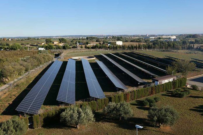 Nestl Espaa estrena su primer parque solar fotovoltaico