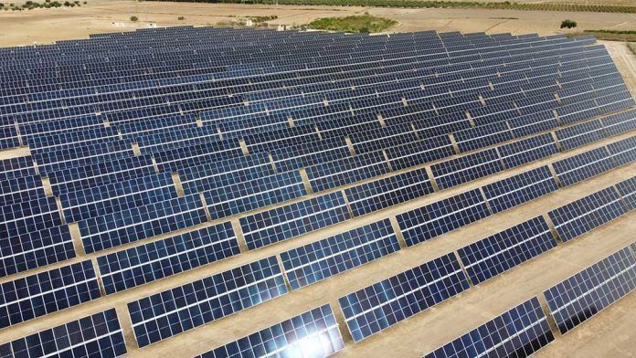 Soltec construye su primera planta fotovoltaica de Solarfighter en Murcia