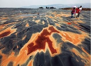 China busca reducir la contaminacin del suelo con el apoyo del Fondo para el Medio Ambiente Mundial