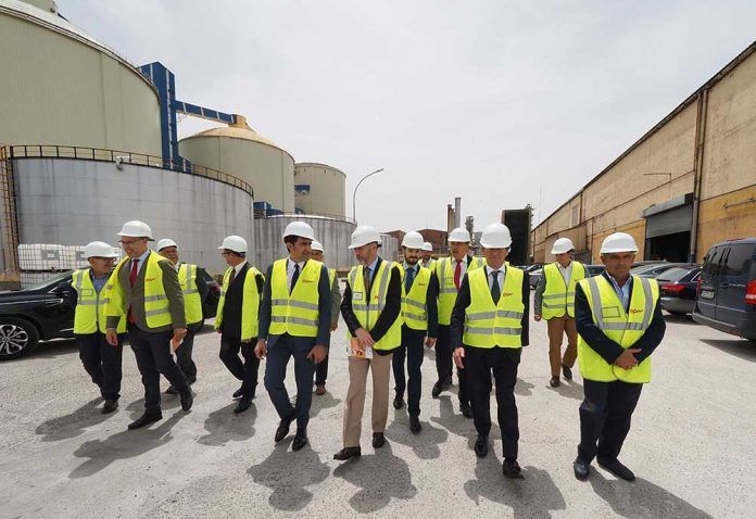ENSO y ACOR crearn el mayor proyecto de cogeneracin con biomasa en Espaa
